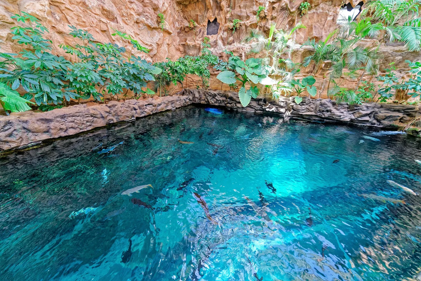 Poema del Mar - Aquarium Gran Canaria