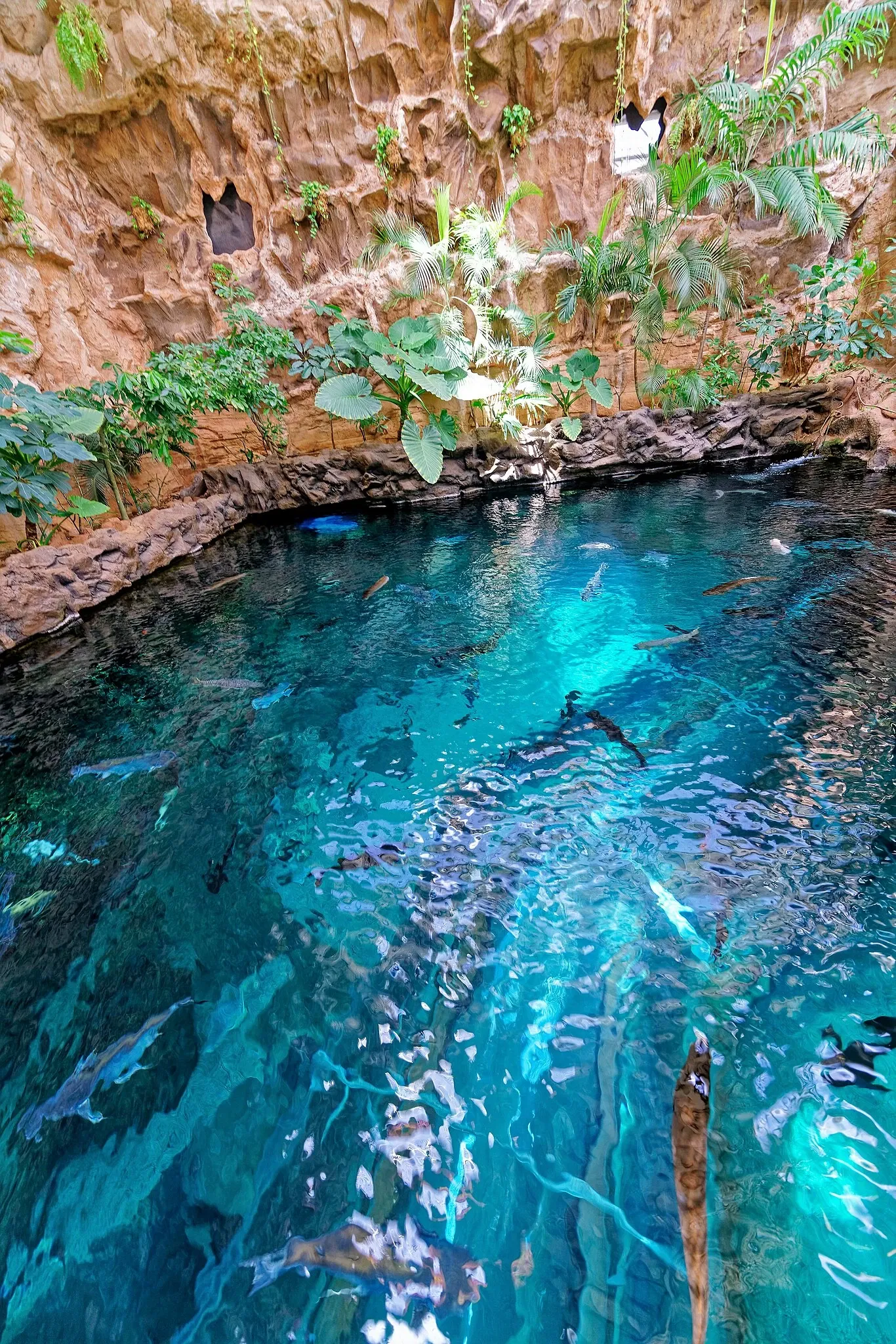 Poem of the Sea - Aquarium Gran Canaria