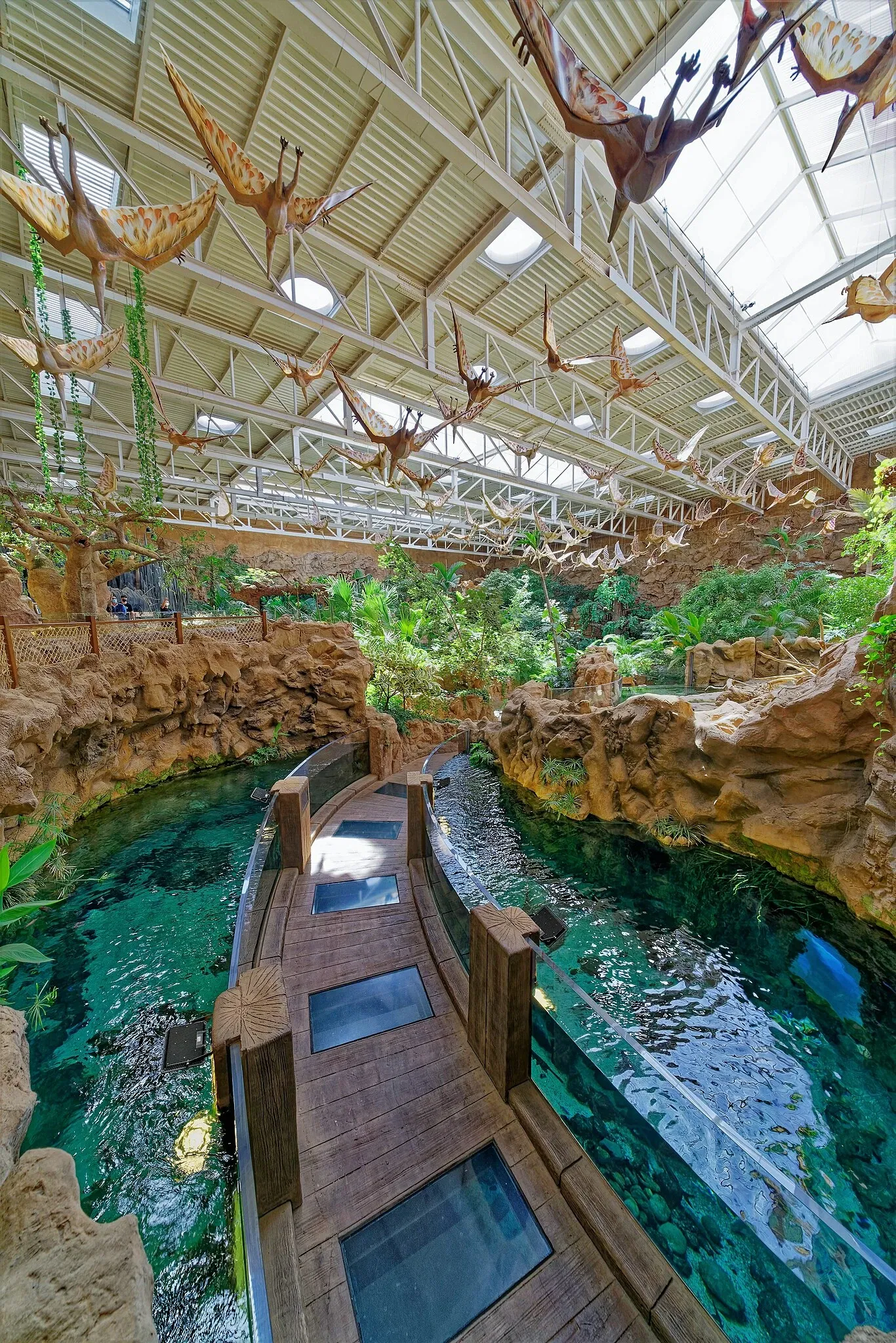 Poem of the Sea - Aquarium Gran Canaria