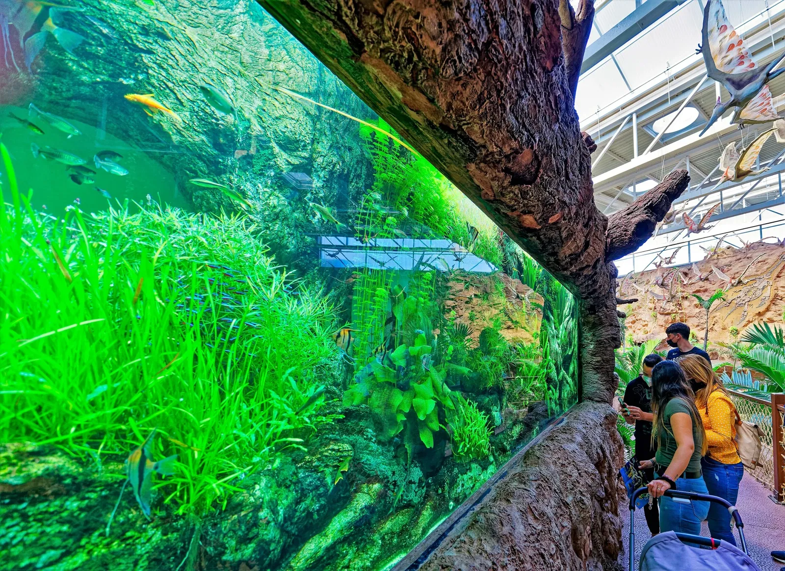 Poem of the Sea - Aquarium Gran Canaria