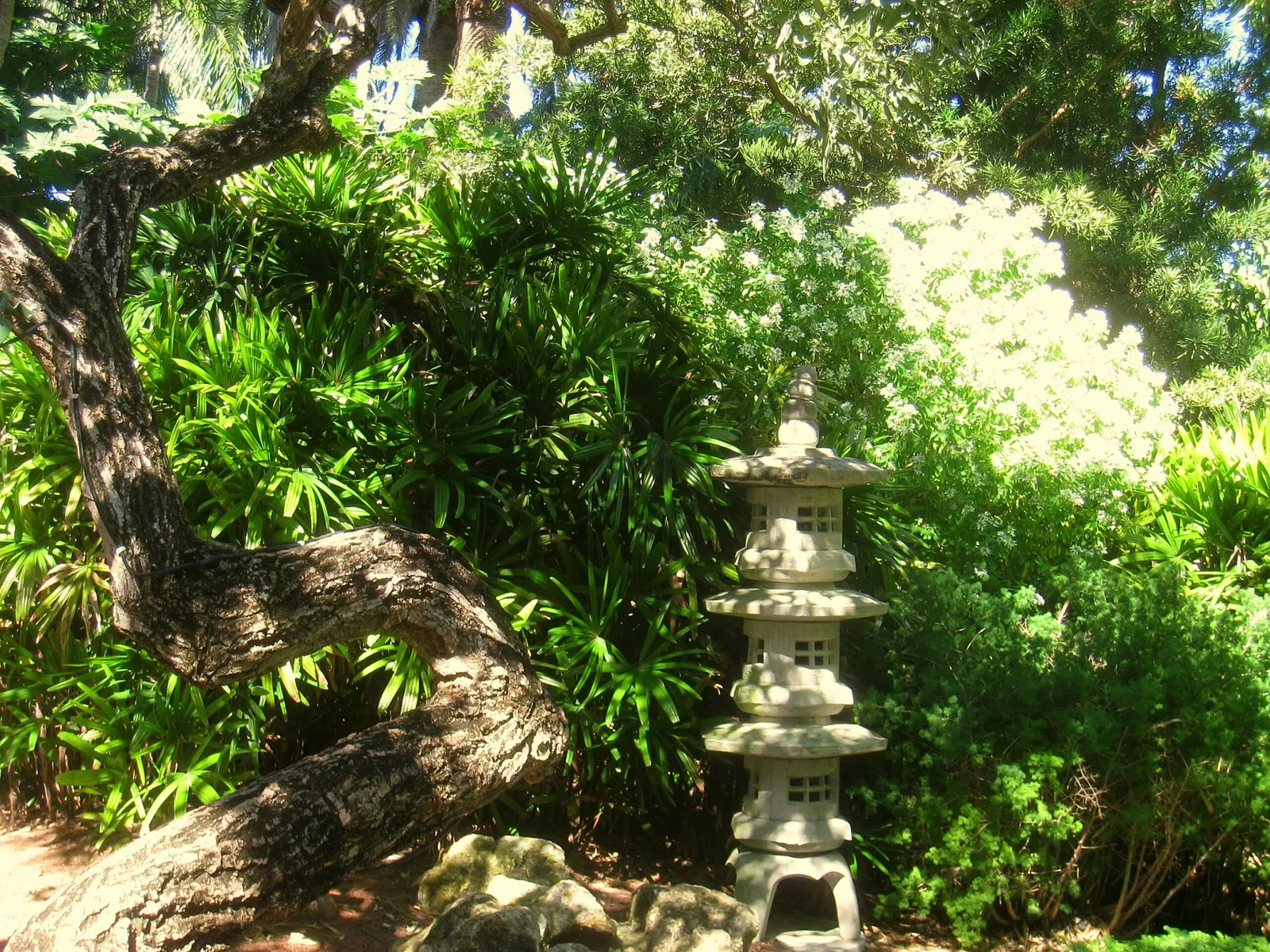 Jardín botánico de Miami Beach