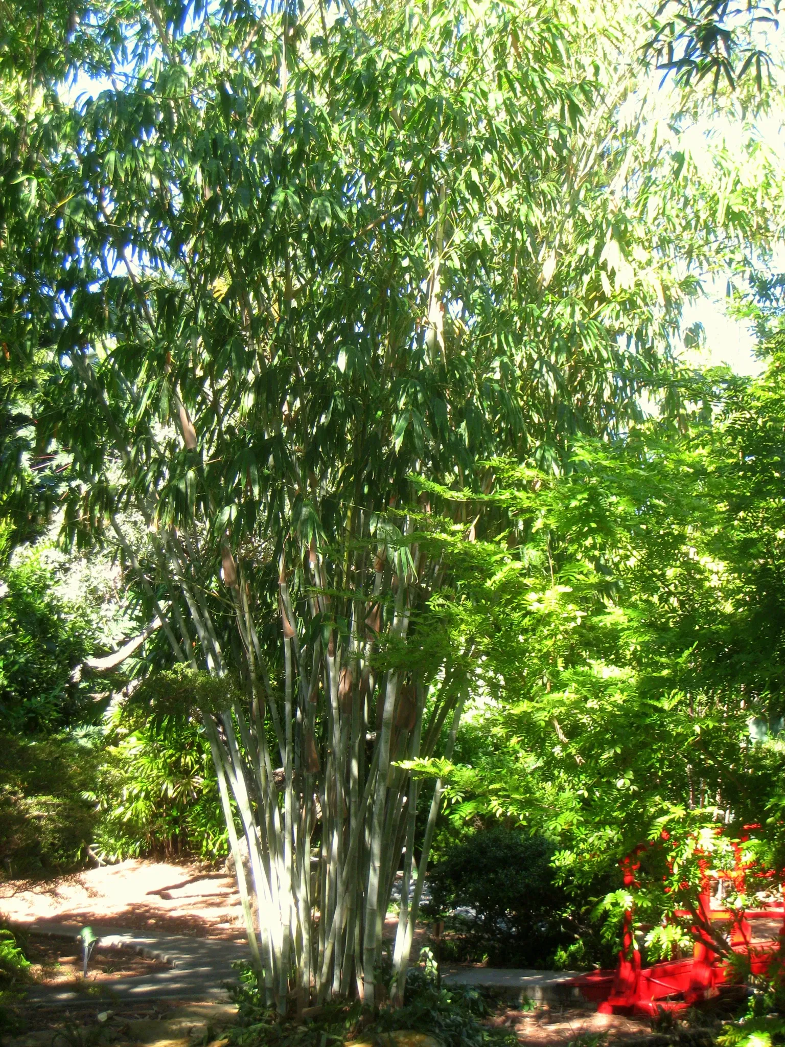 Miami Beach Botanical Garden