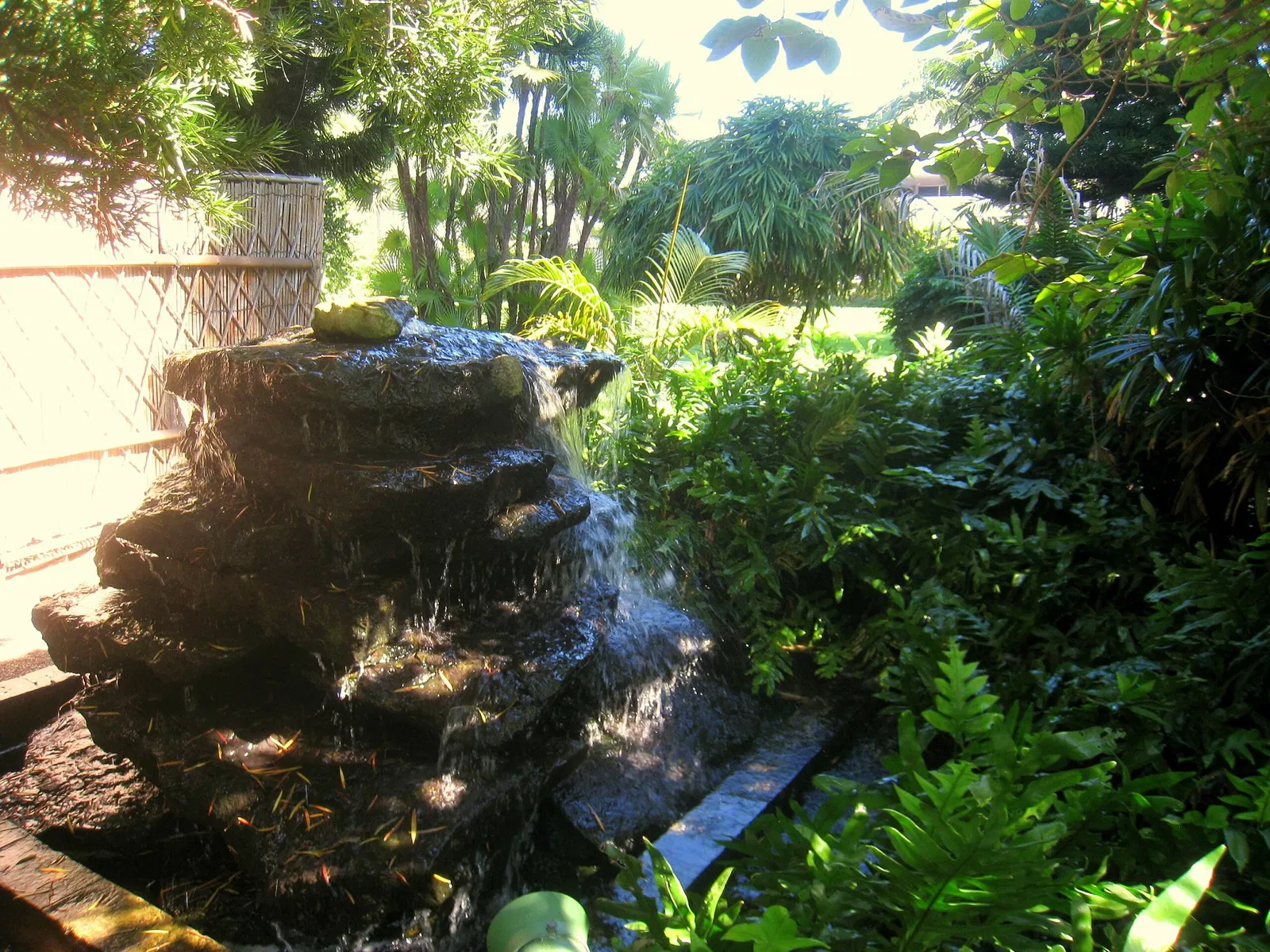 Jardín botánico de Miami Beach