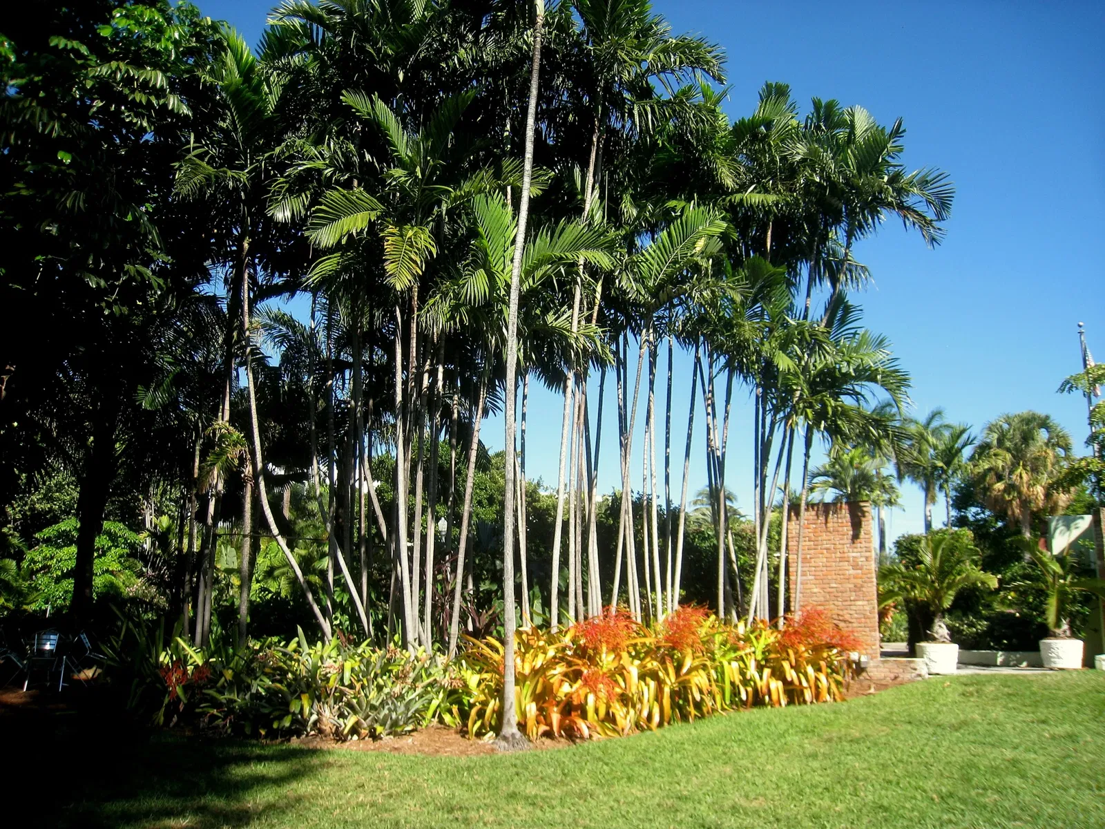 Jardín botánico de Miami Beach