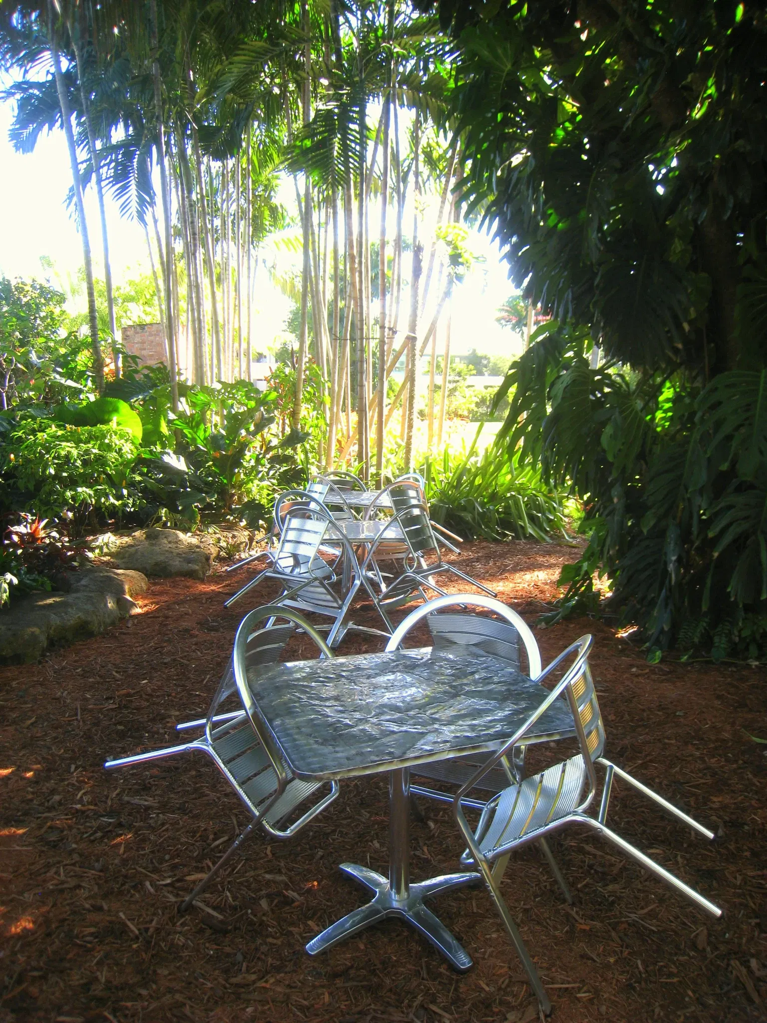 Miami Beach Botanical Garden