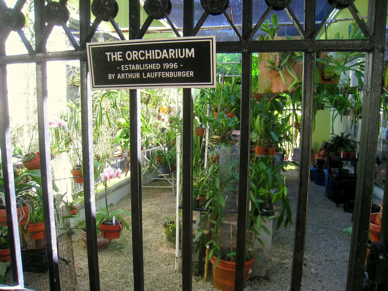 Jardín botánico de Miami Beach