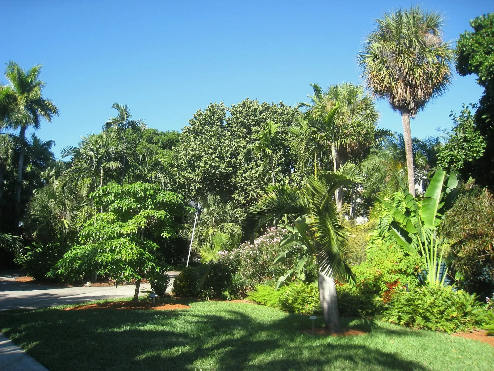 Jardín botánico de Miami Beach