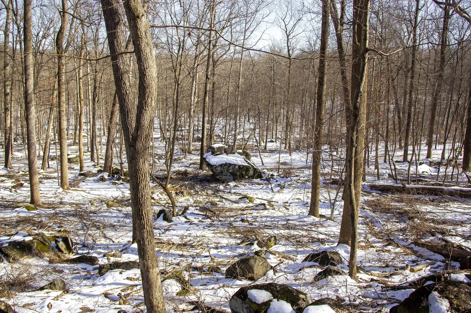 Parque Militar Nacional de Gettysburg