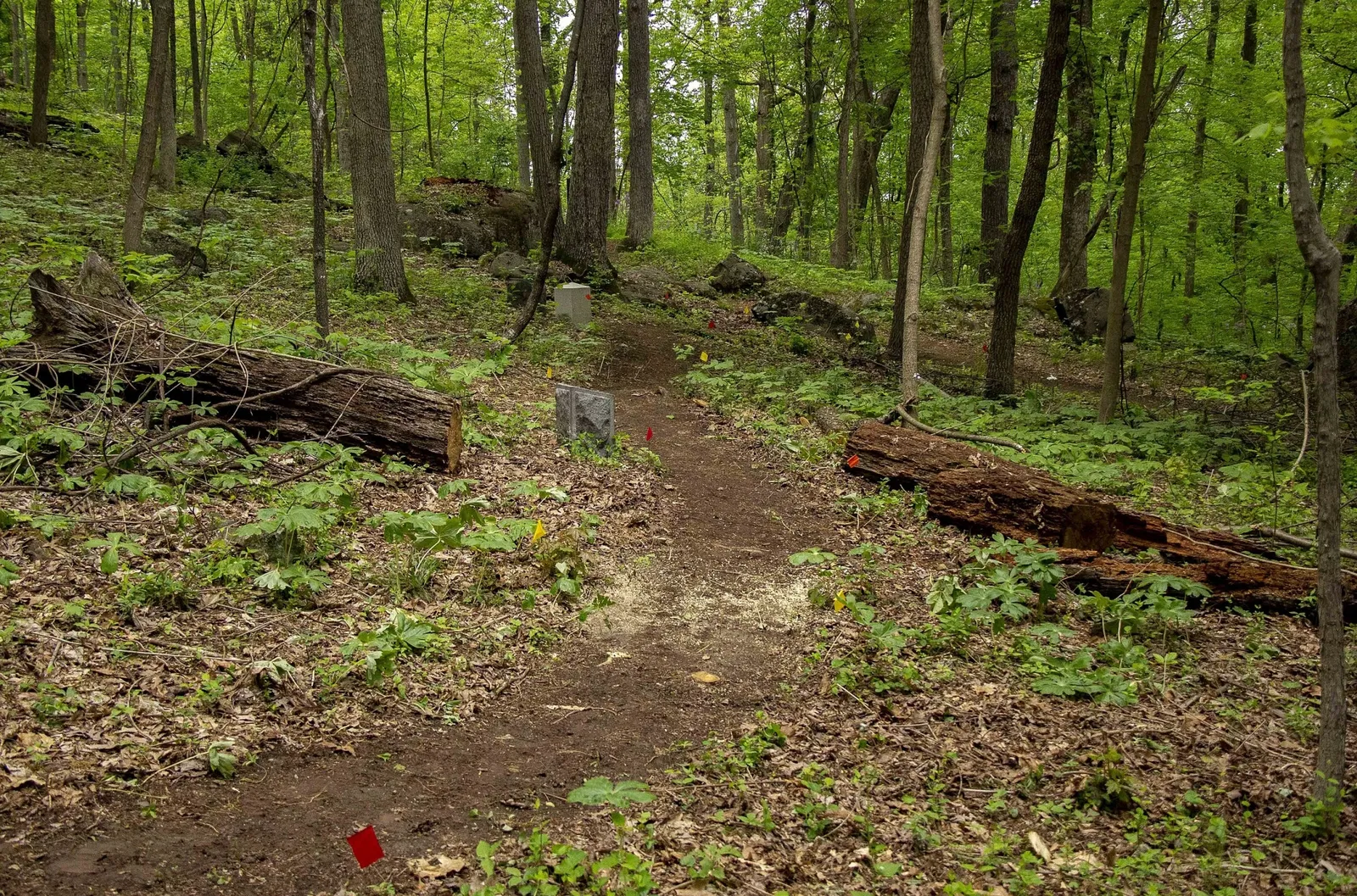 Parque Militar Nacional de Gettysburg