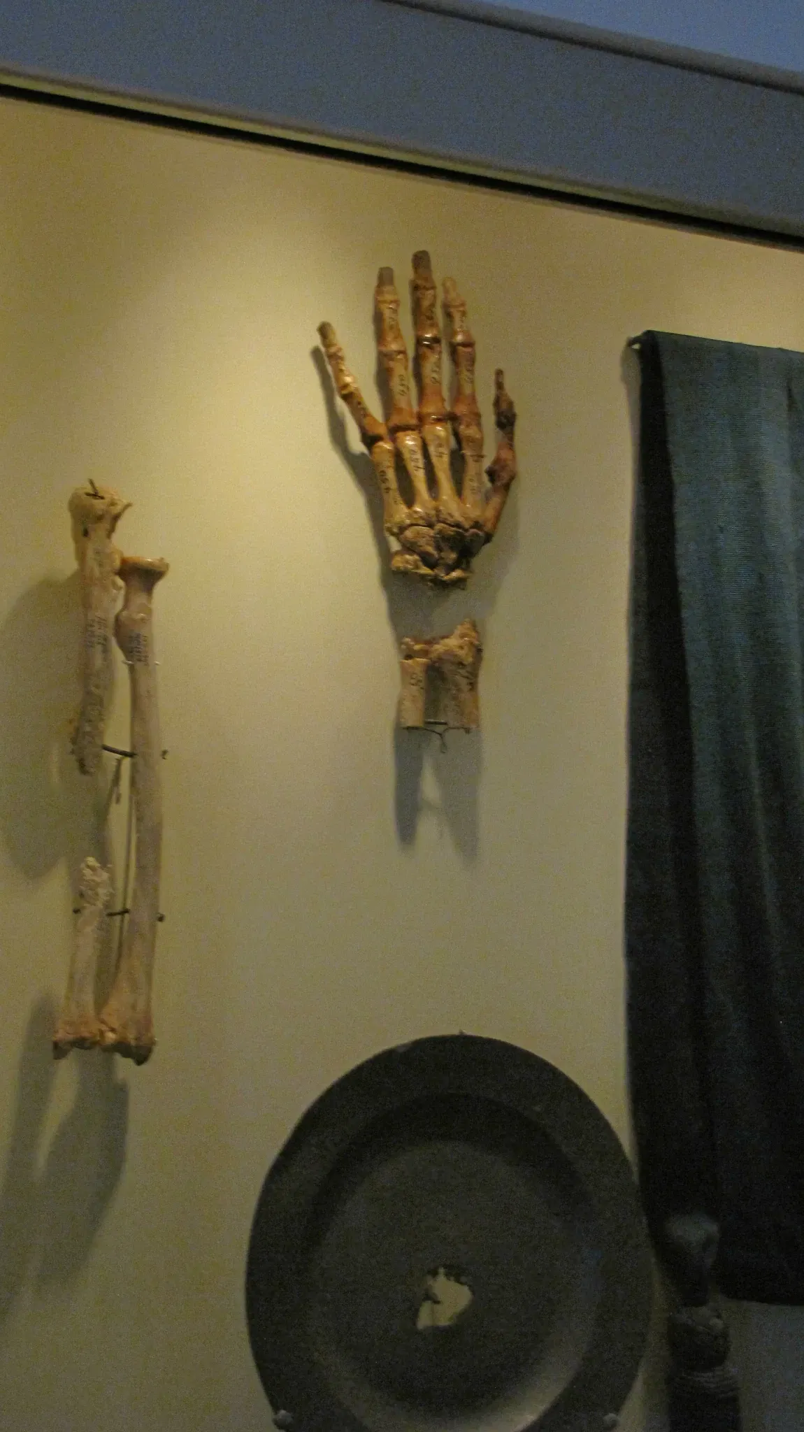 Seminary Ridge Museum