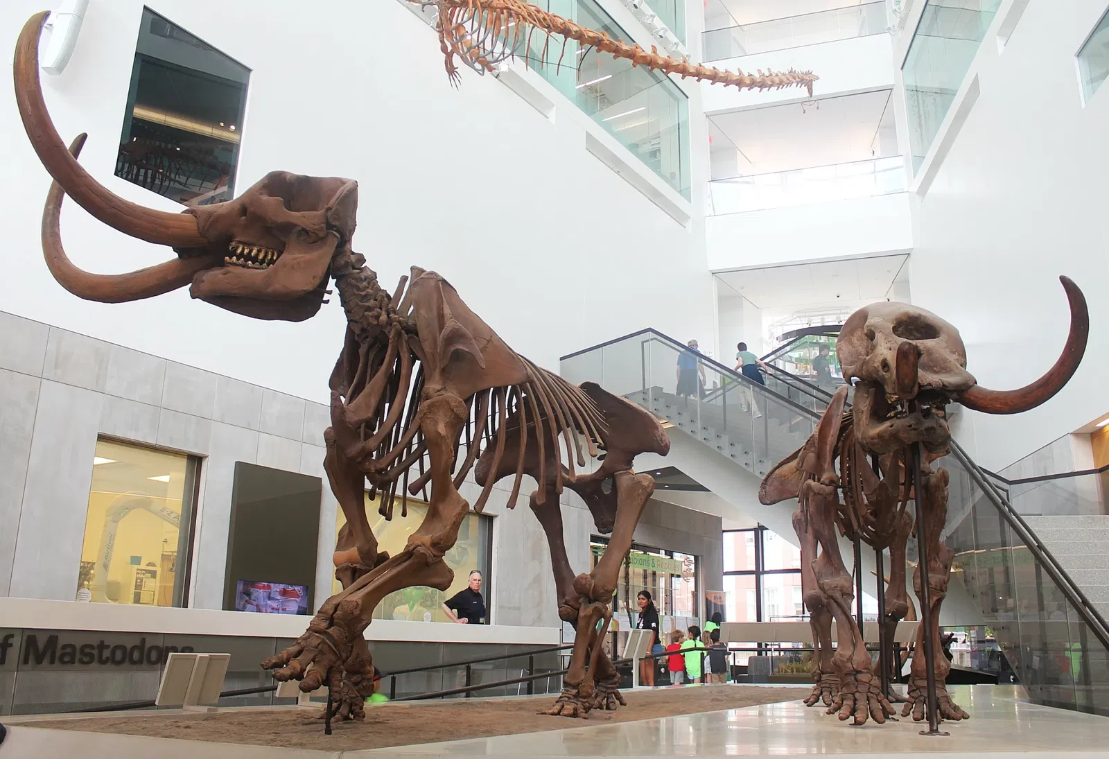 University of Michigan Museum of Natural History