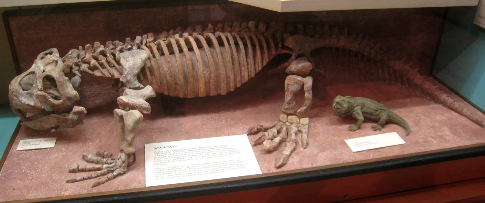 University of Michigan Museum of Natural History