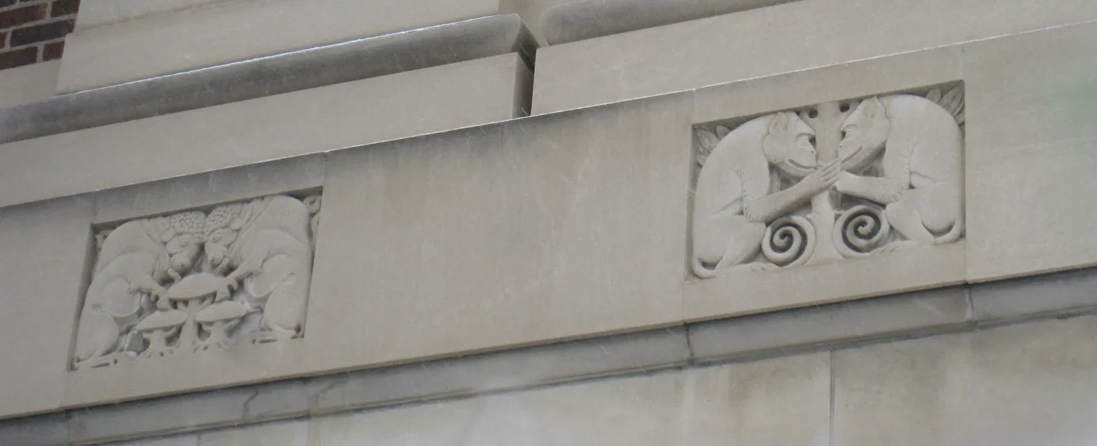 University of Michigan Museum of Natural History