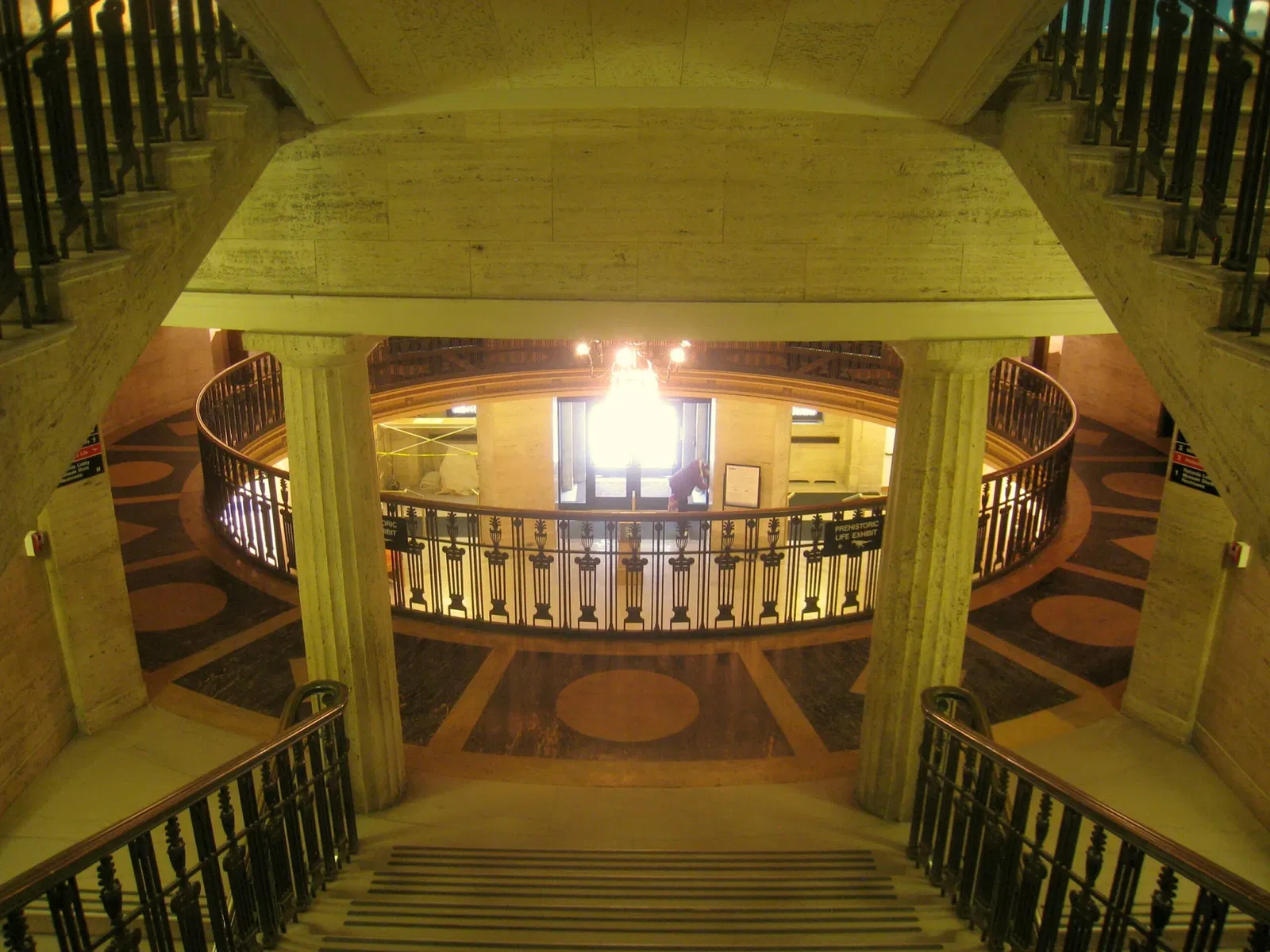 University of Michigan Museum of Natural History