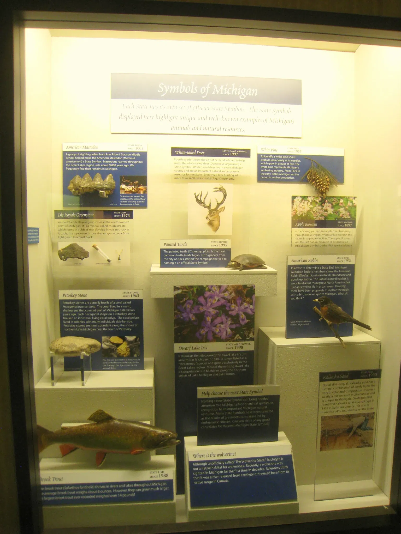 University of Michigan Museum of Natural History