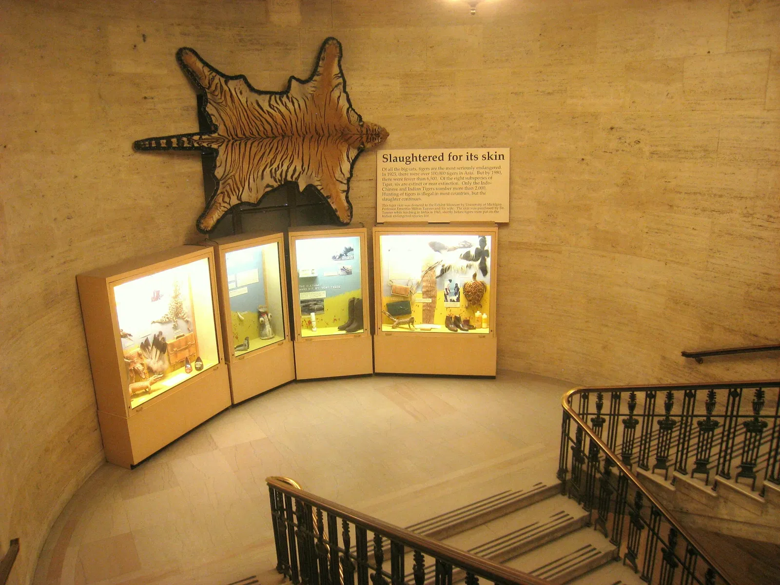University of Michigan Museum of Natural History