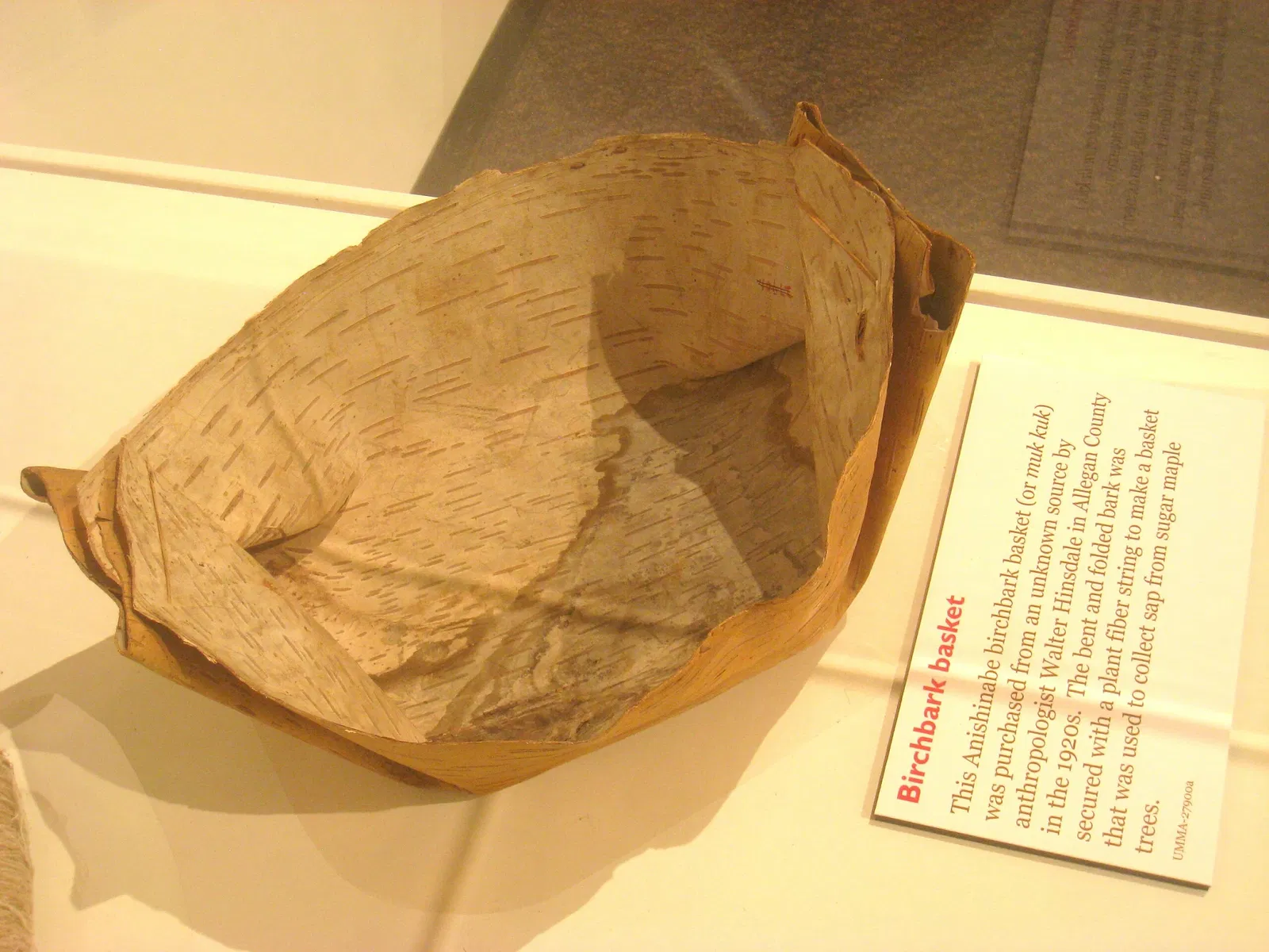 University of Michigan Museum of Natural History