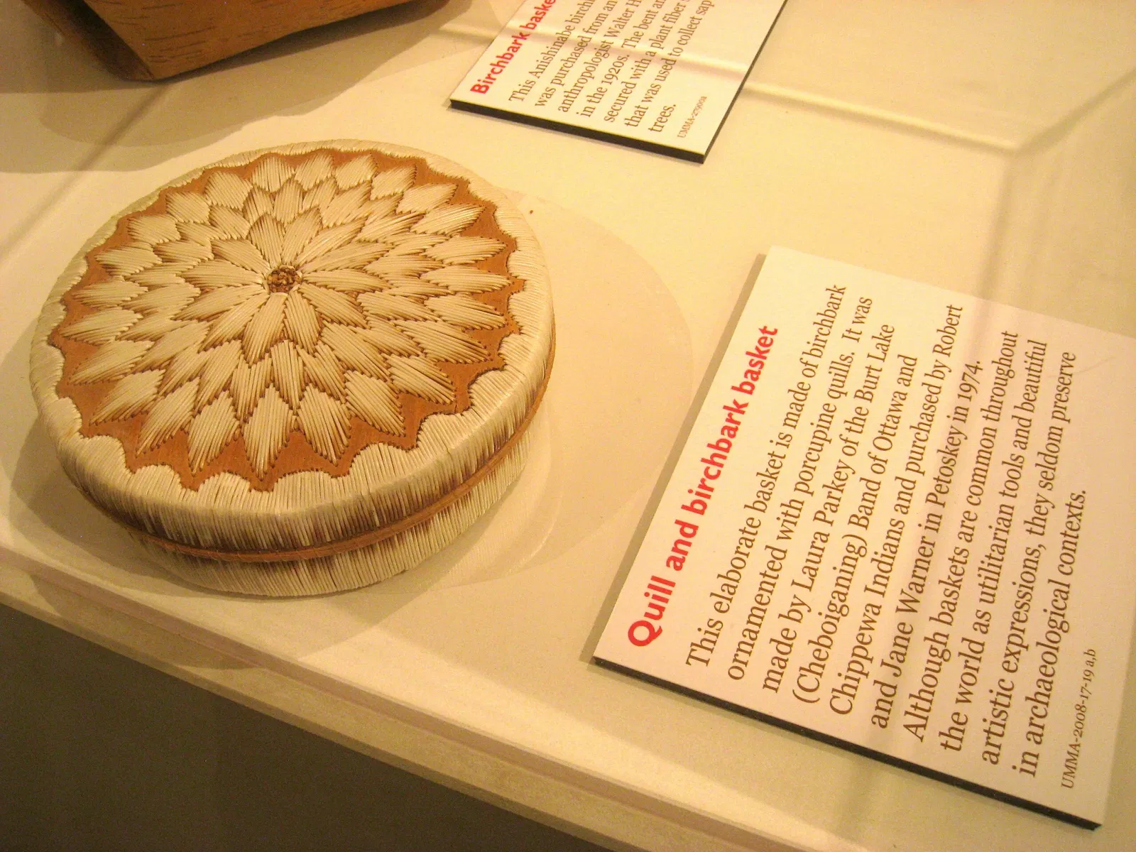 University of Michigan Museum of Natural History