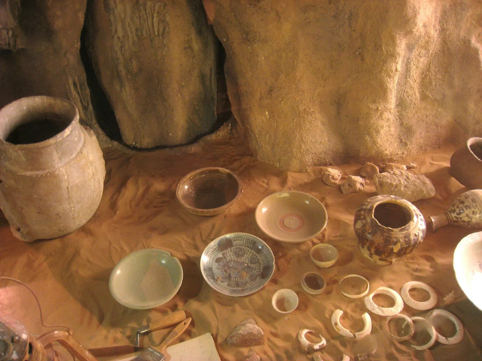 University of Michigan Museum of Natural History