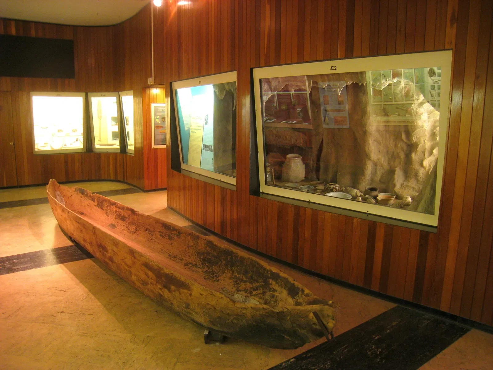 University of Michigan Museum of Natural History