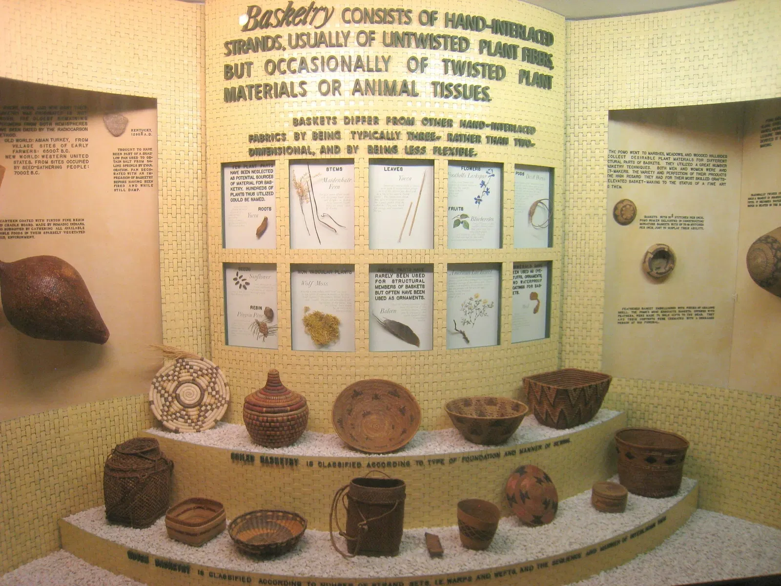 University of Michigan Museum of Natural History