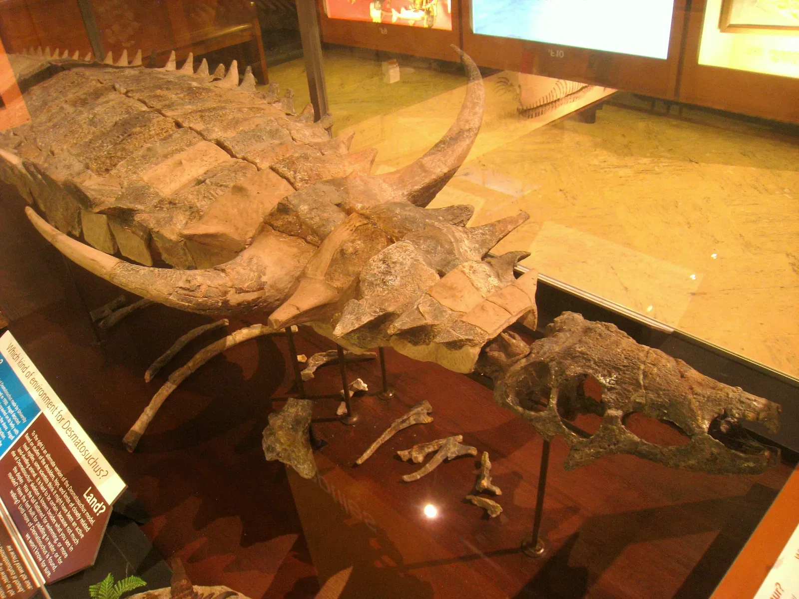 University of Michigan Museum of Natural History