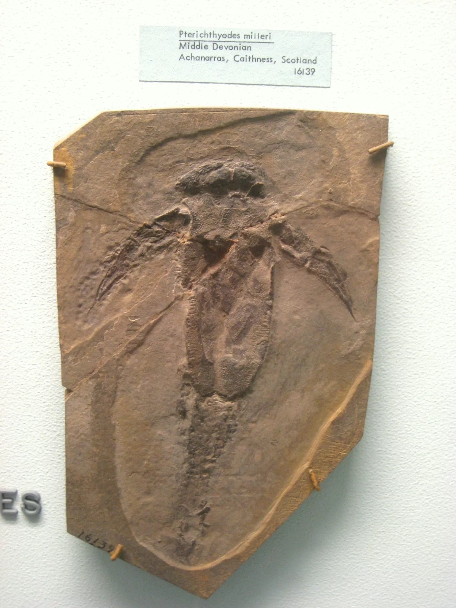 University of Michigan Museum of Natural History