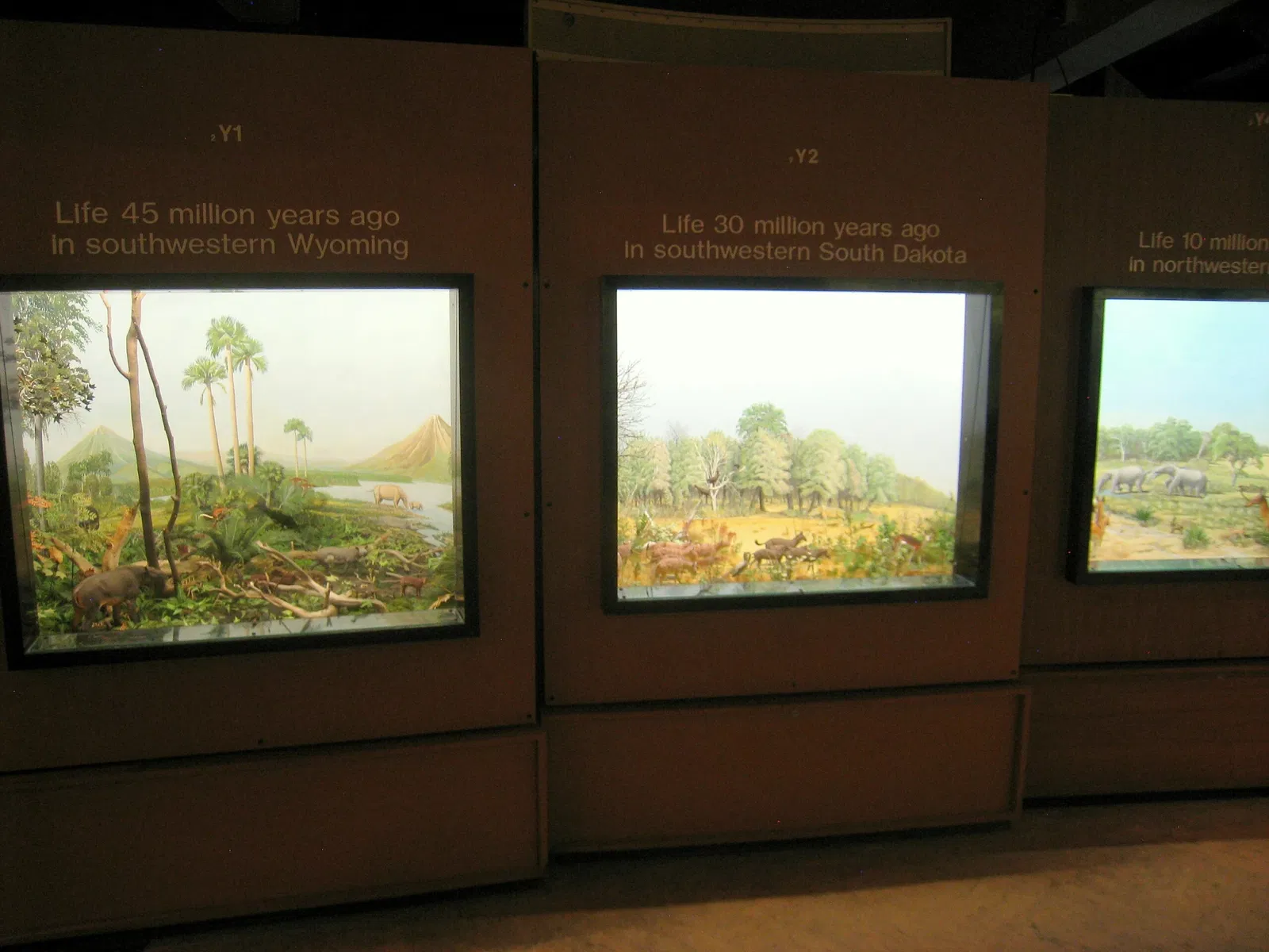 University of Michigan Museum of Natural History