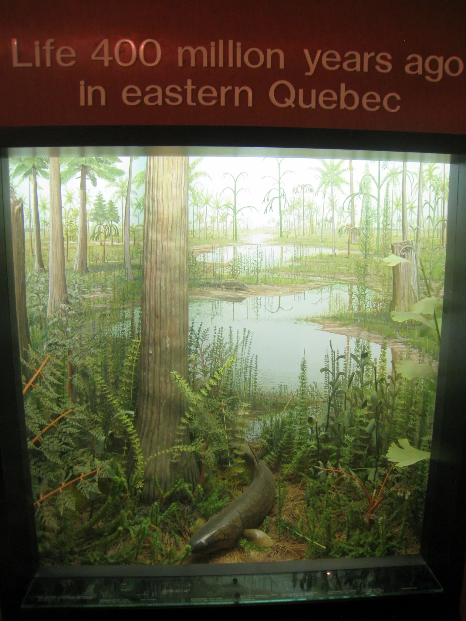 University of Michigan Museum of Natural History