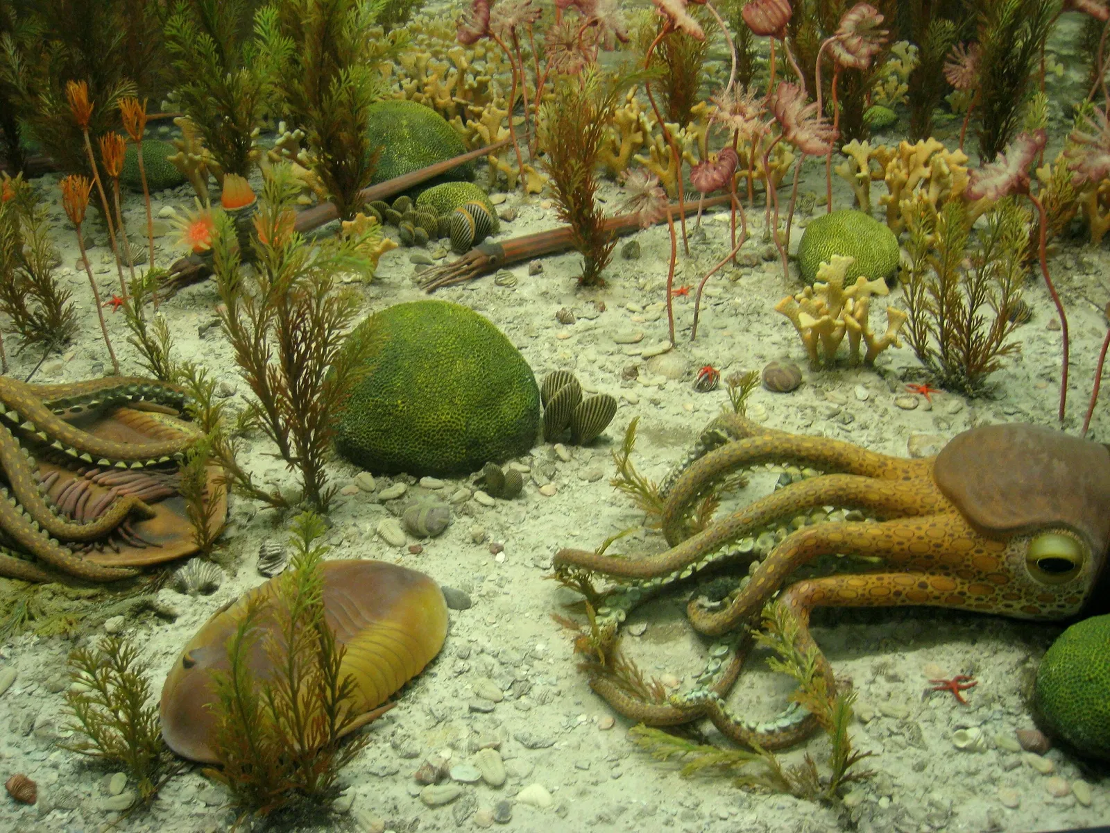 University of Michigan Museum of Natural History