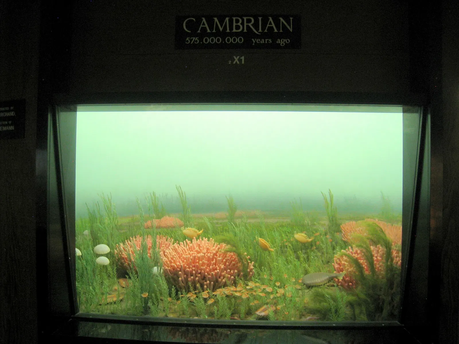 University of Michigan Museum of Natural History