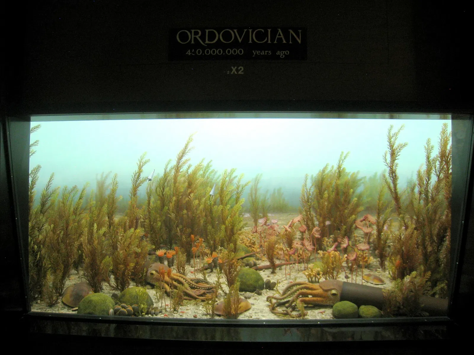 University of Michigan Museum of Natural History