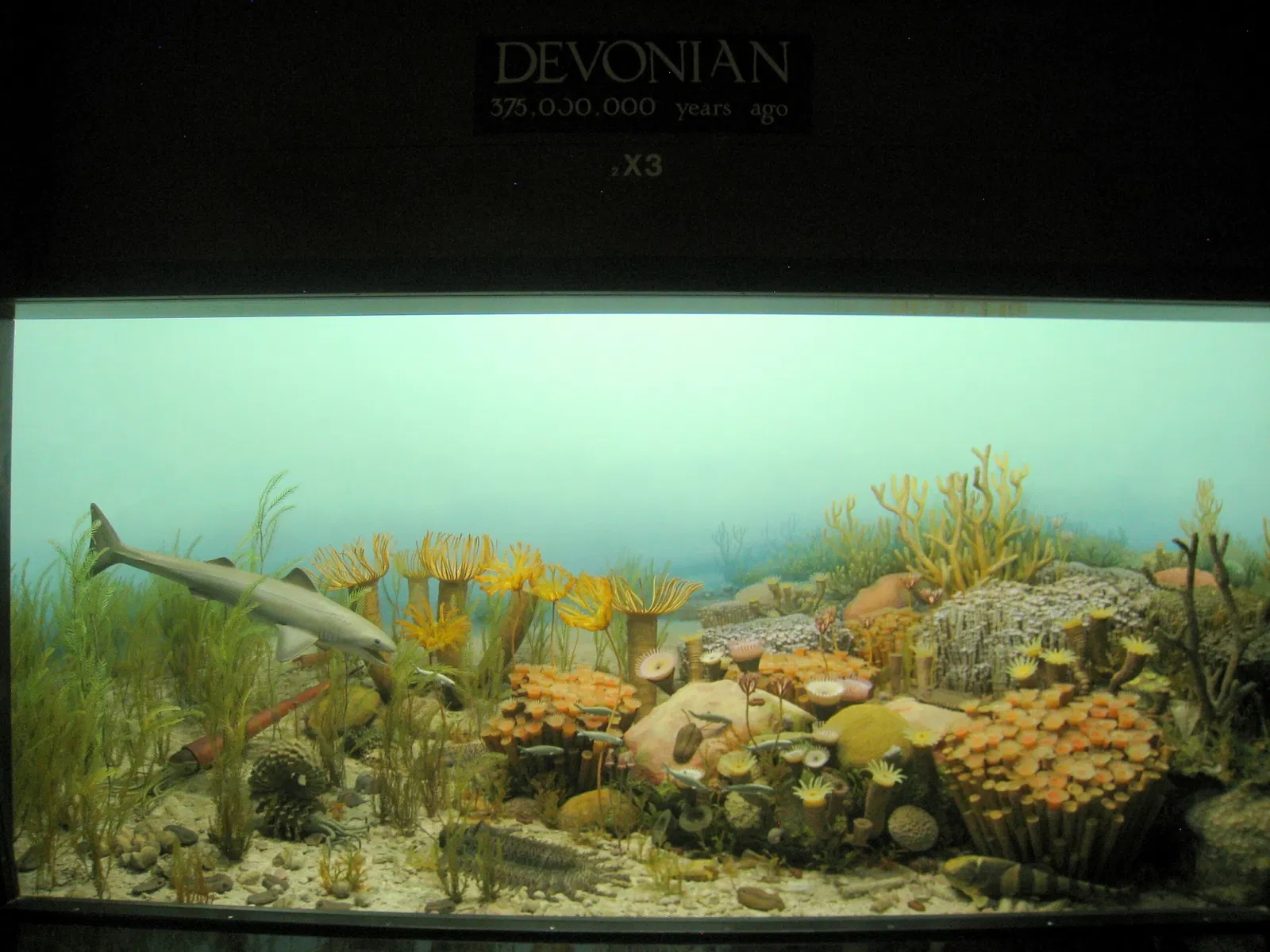 University of Michigan Museum of Natural History