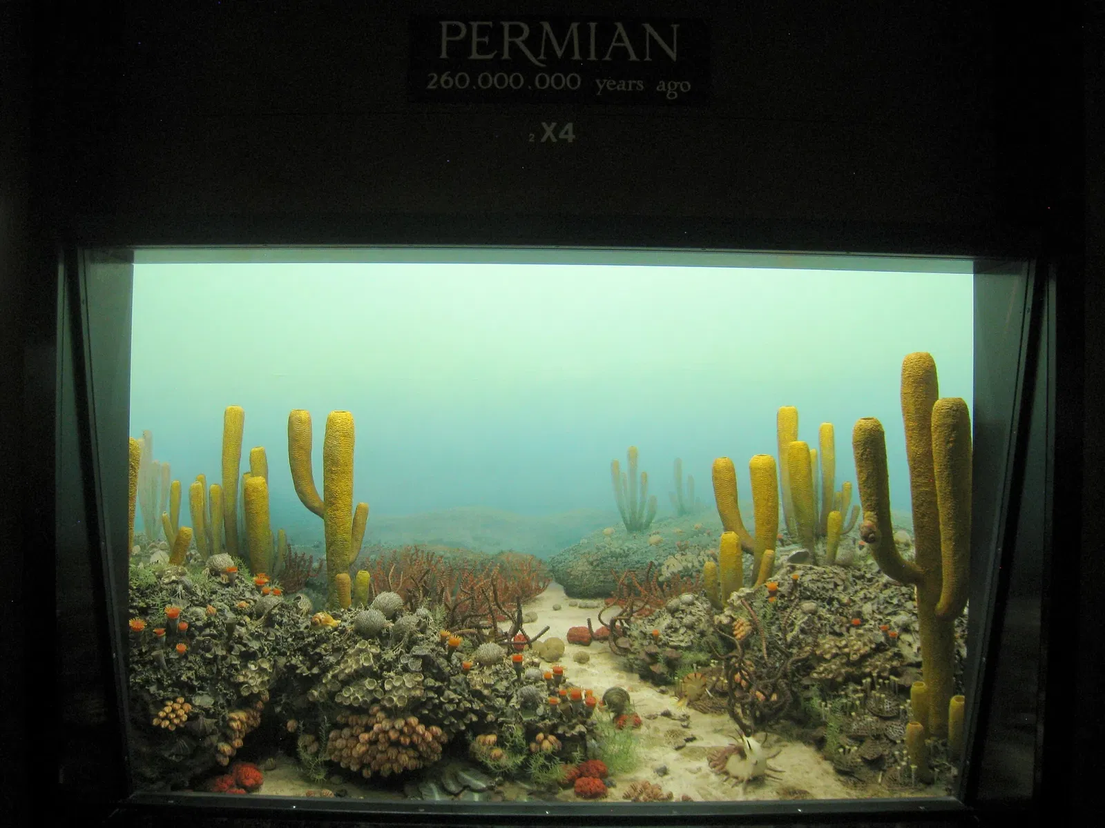 University of Michigan Museum of Natural History