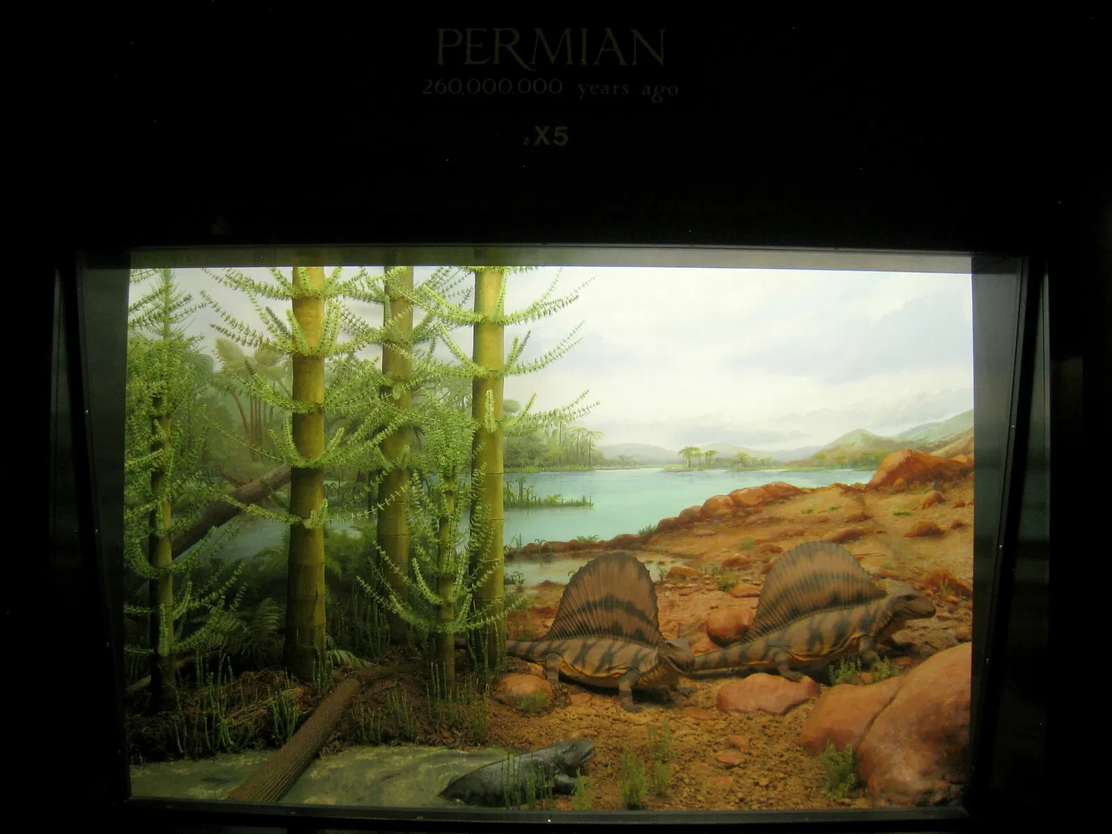 University of Michigan Museum of Natural History