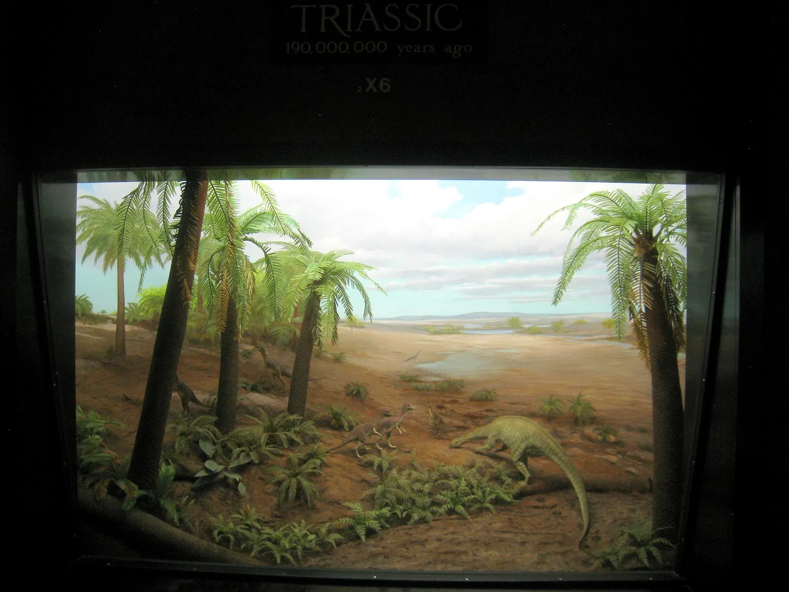 University of Michigan Museum of Natural History