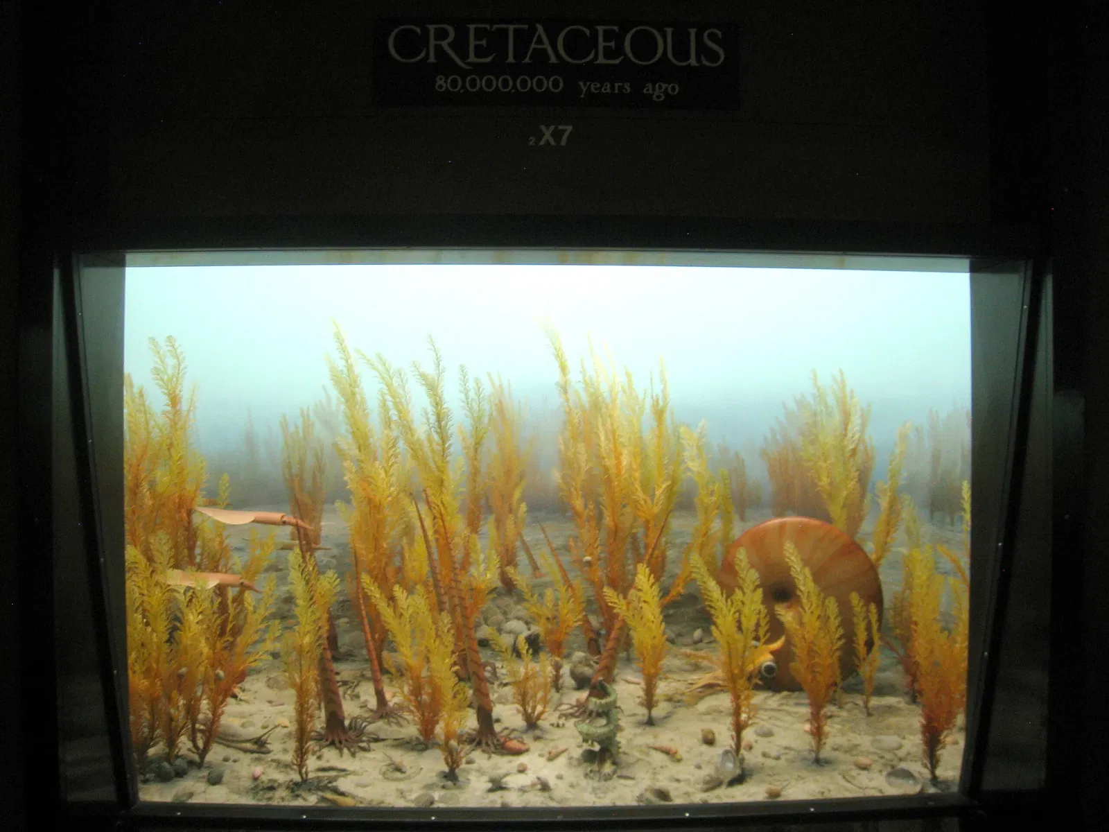 University of Michigan Museum of Natural History