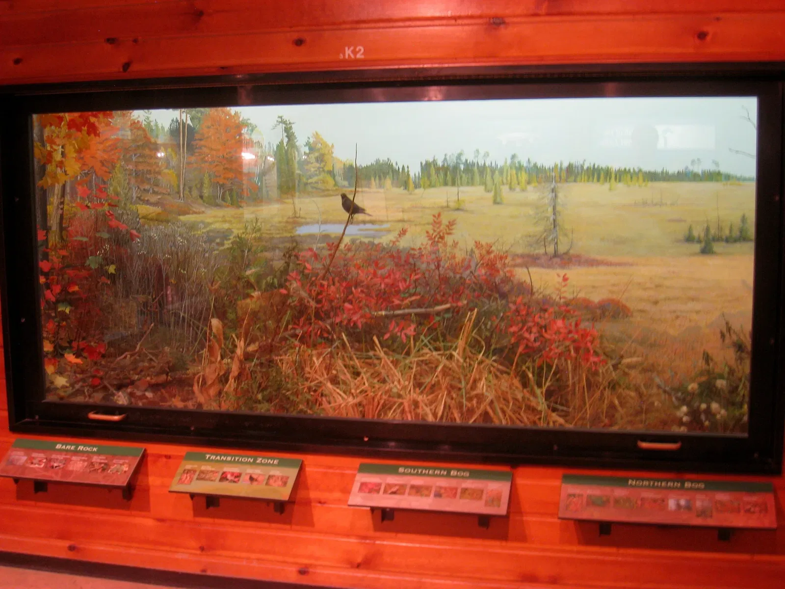 University of Michigan Museum of Natural History