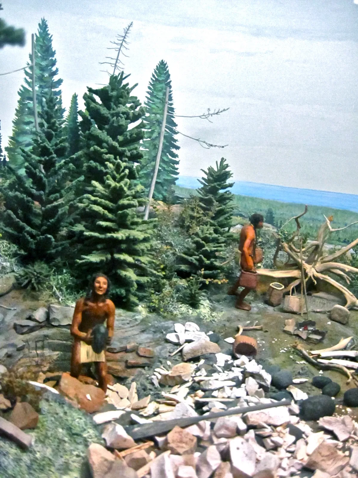 University of Michigan Museum of Natural History