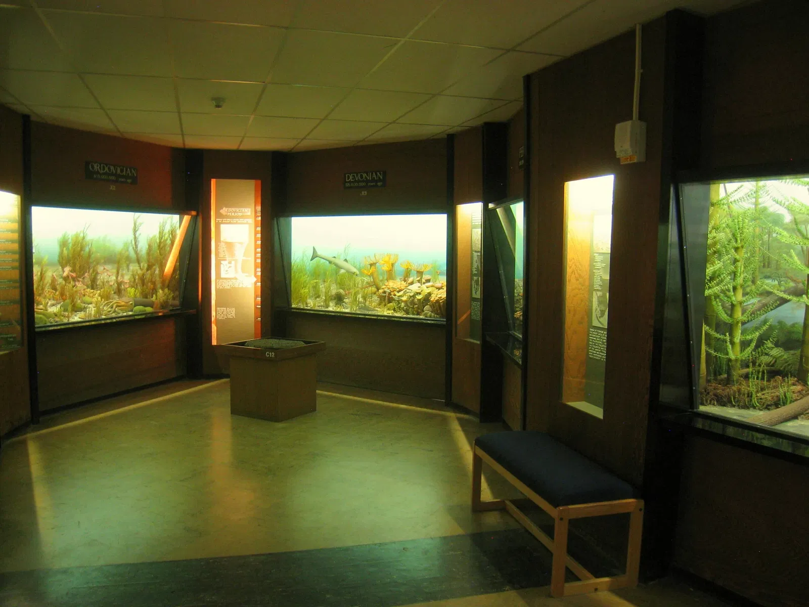 University of Michigan Museum of Natural History