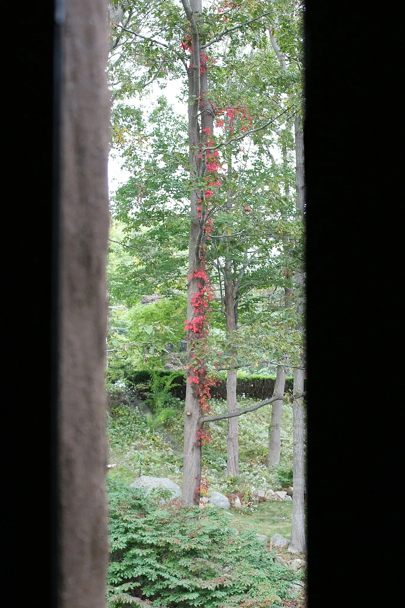 Hammond Castle Museum