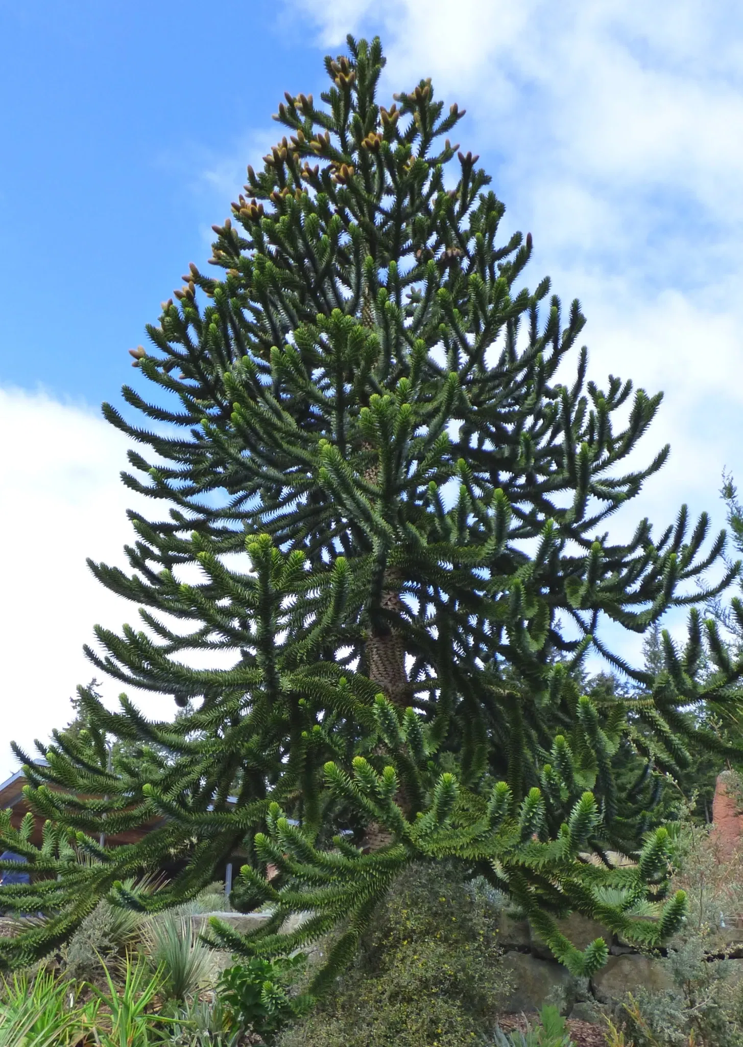 Point Defiance Zoo & Aquarium