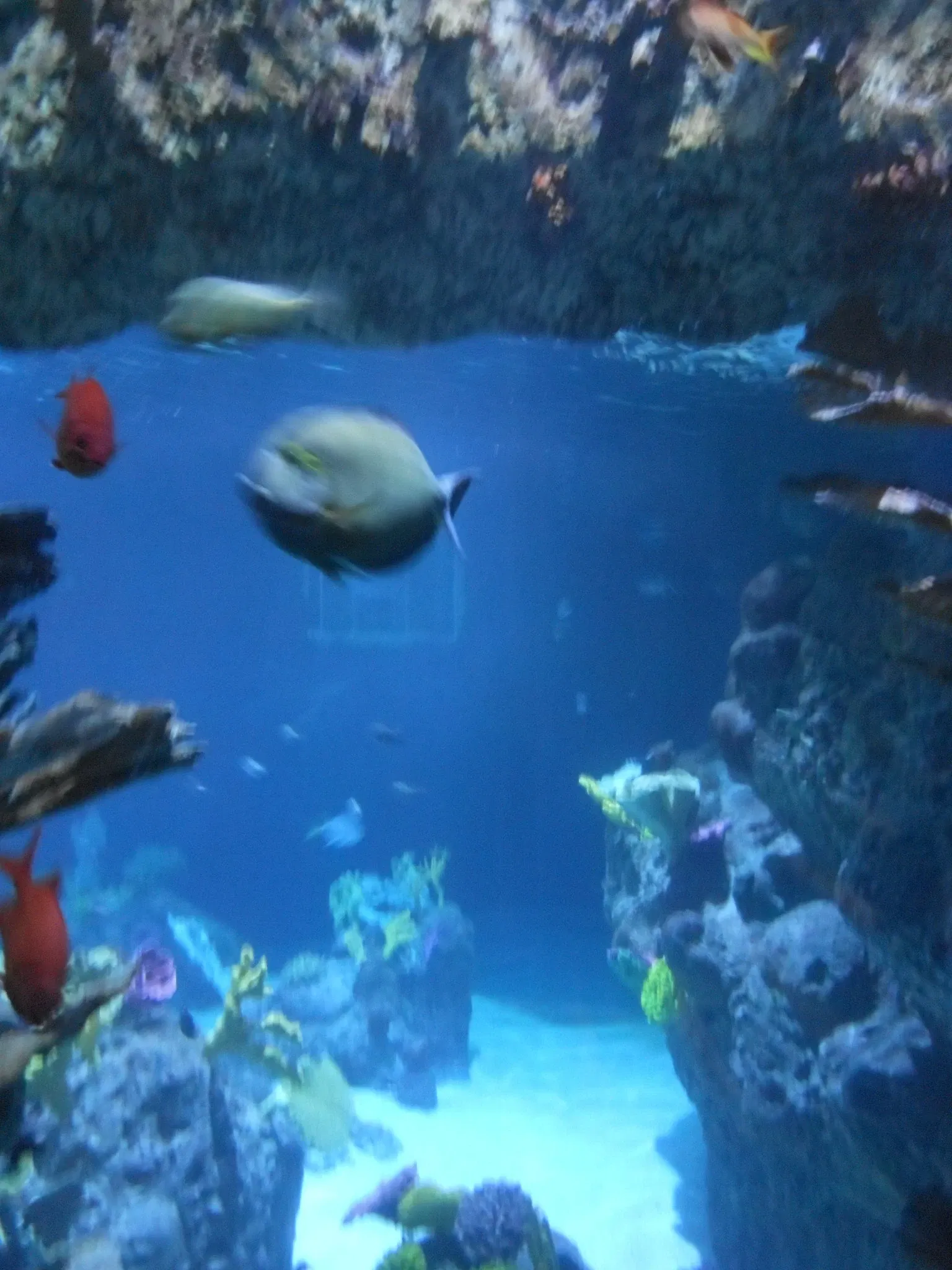 Point Defiance Zoo & Aquarium