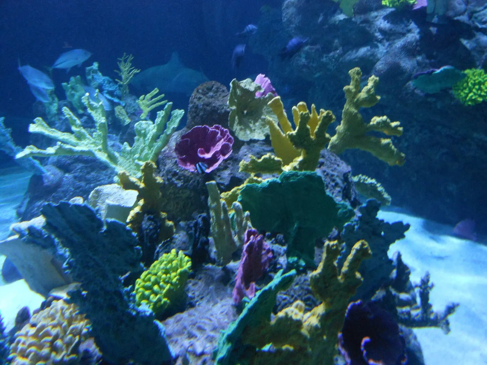 Point Defiance Zoo & Aquarium