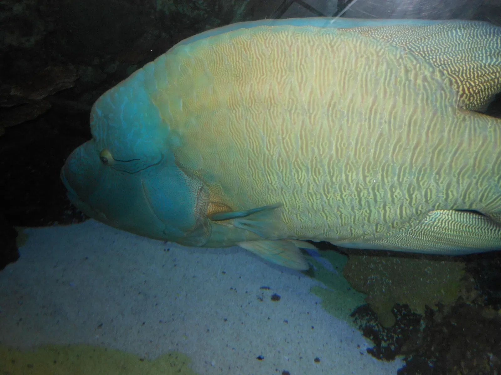 Point Defiance Zoo & Aquarium