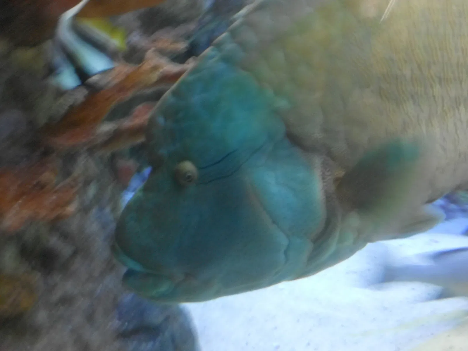 Point Defiance Zoo & Aquarium