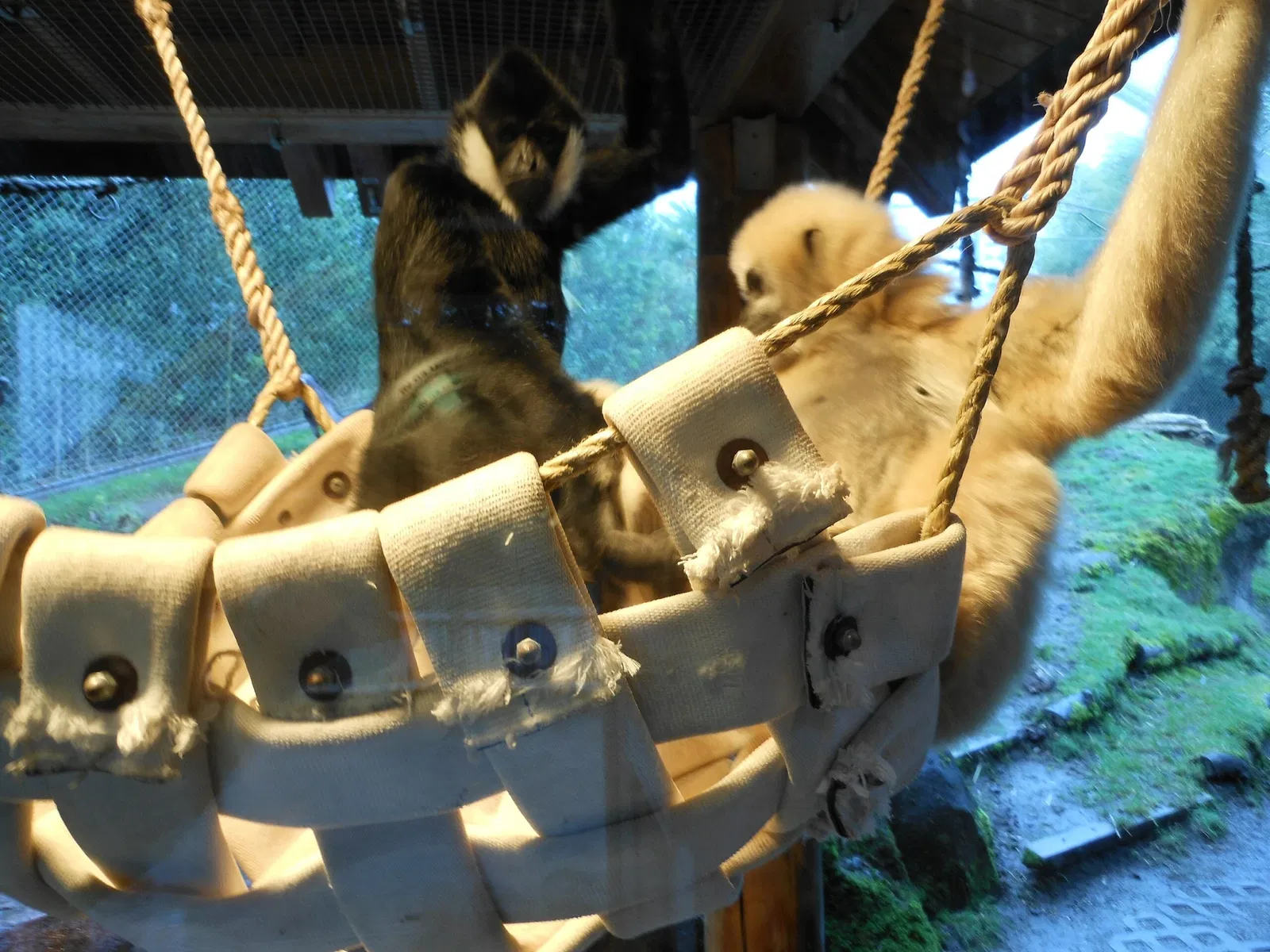 Zoo et Aquarium de Point Defiance