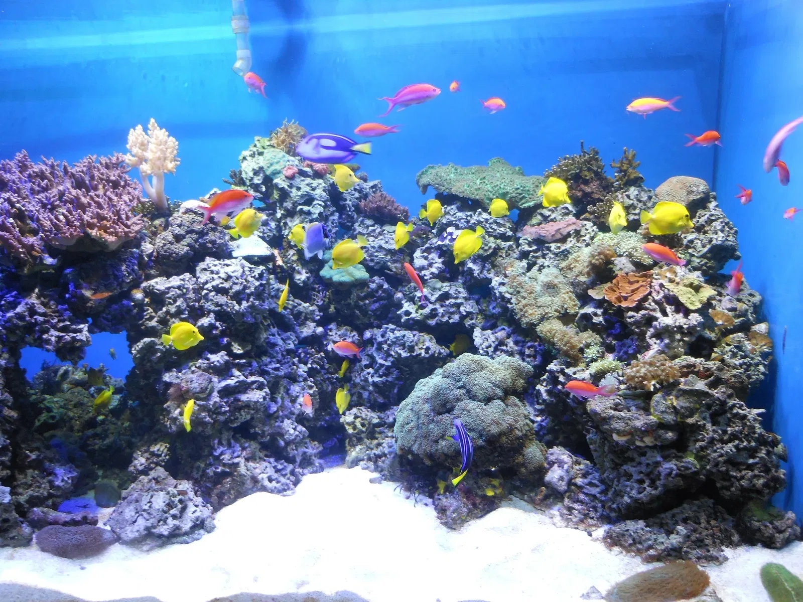 Zoo et Aquarium de Point Defiance