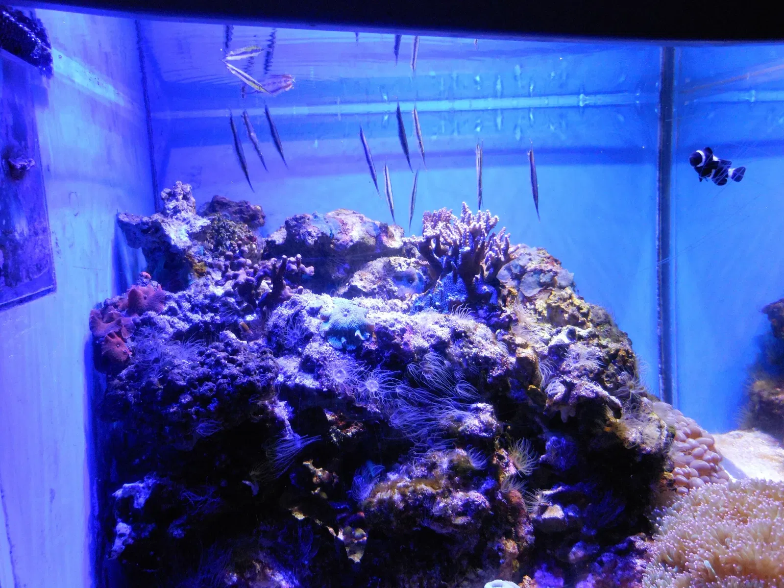 Point Defiance Zoo & Aquarium