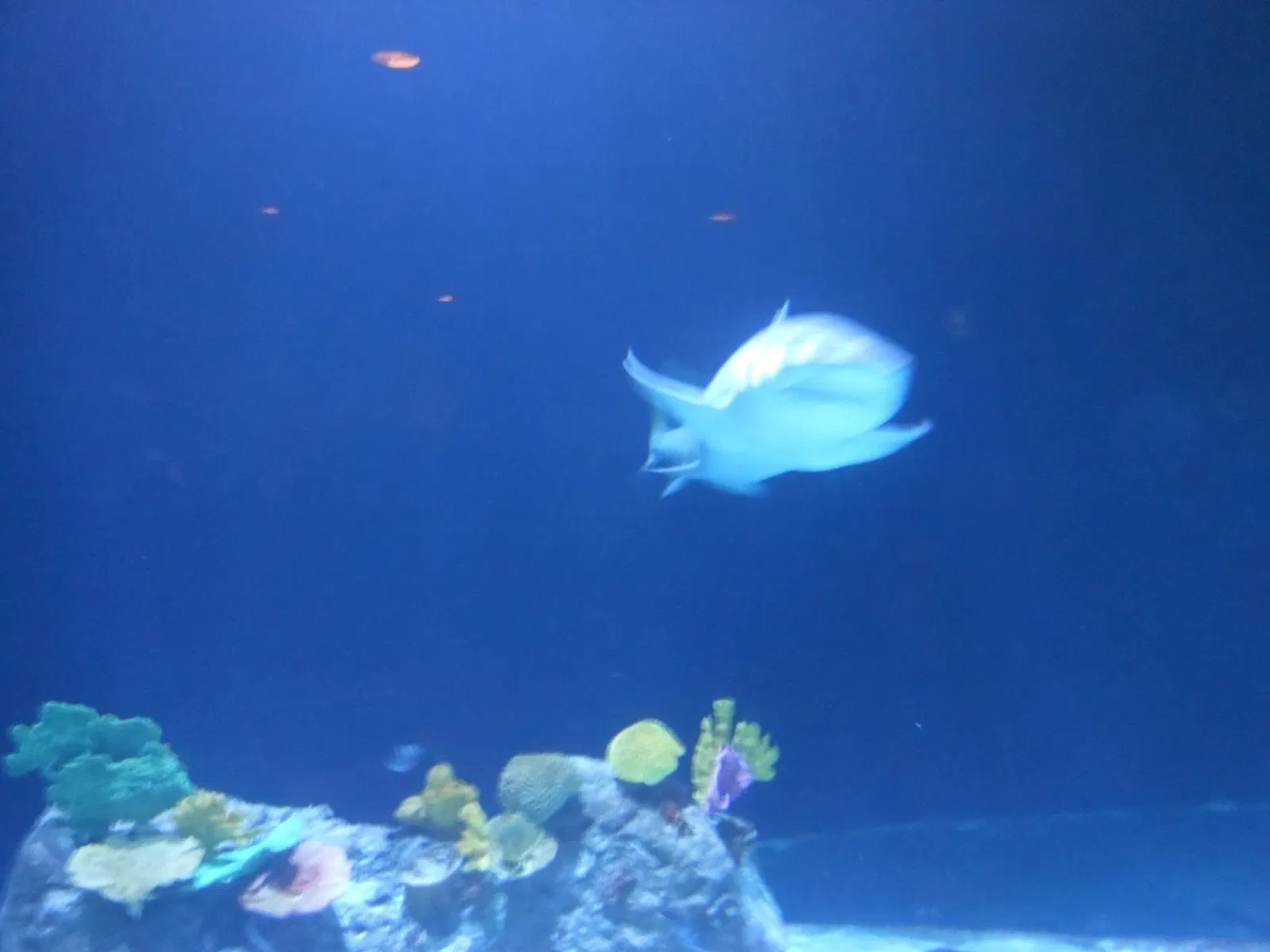 Point Defiance Zoo & Aquarium